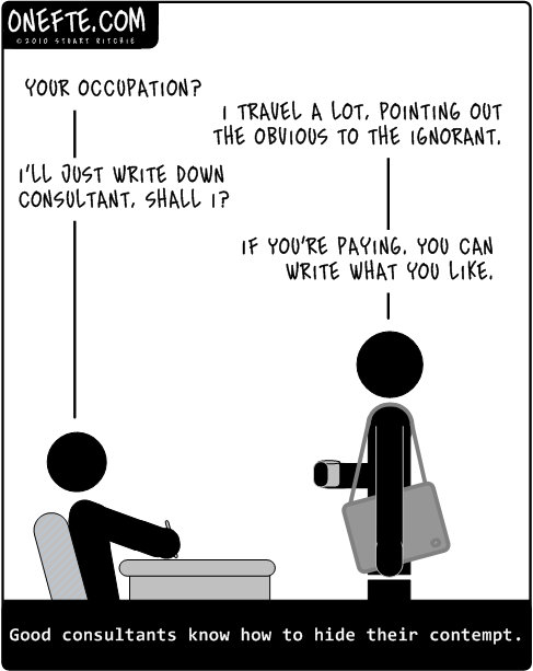what makes a good consultant